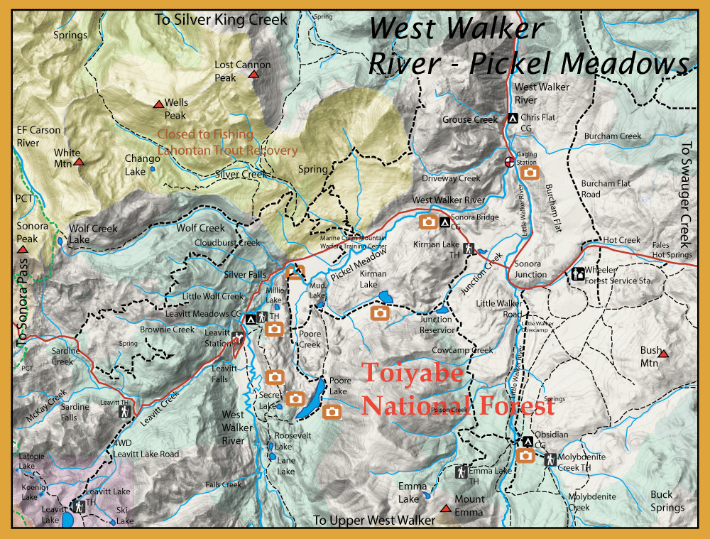 Topographic map of Toiyabe National Forest showing West Walker River, Pickel Meadows, trails, and campsites.