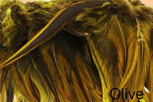 Badger Saddle Hackle Olive